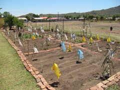 second food garden